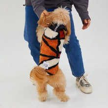 Load image into Gallery viewer, Köpek Montu - Fleece Series - Monkey Fleece Orange
