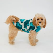 Load image into Gallery viewer, Köpek Montu - Fleece Series - Monkey Fleece Turquoise
