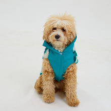 Görseli Galeri görüntüleyiciye yükleyin, Köpek Montu - Fleece Series - Monkey Fleece Turquoise
