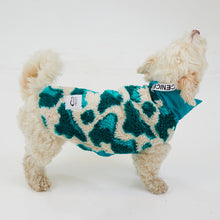 Load image into Gallery viewer, Köpek Montu - Fleece Series - Monkey Fleece Turquoise
